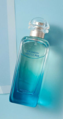 Shop Vacation Fragrances